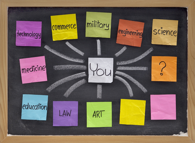 Bulletin board with sticky notes of career options